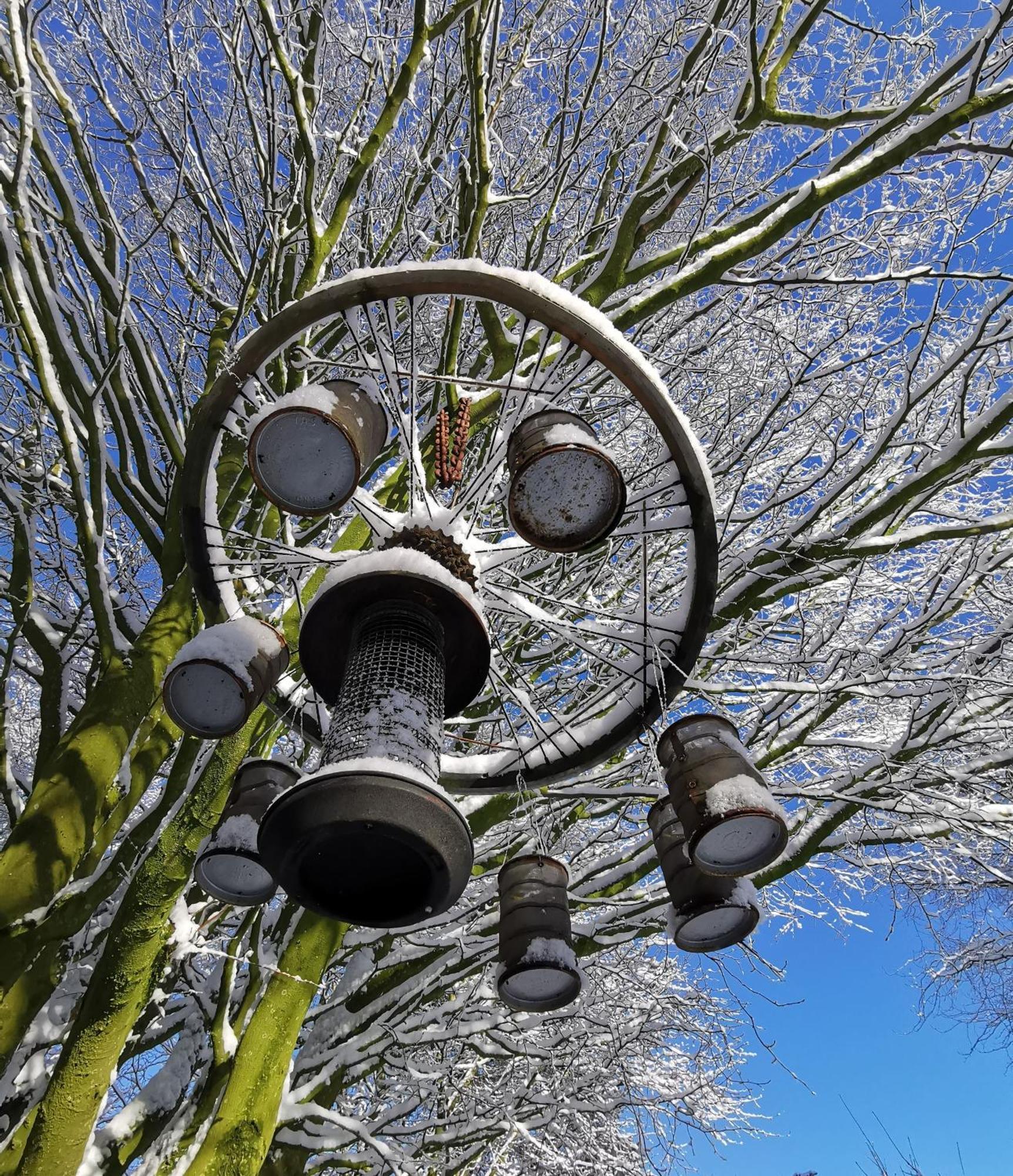 Doughery Den The Dark Hedges Hideaway Armoy Exterior photo