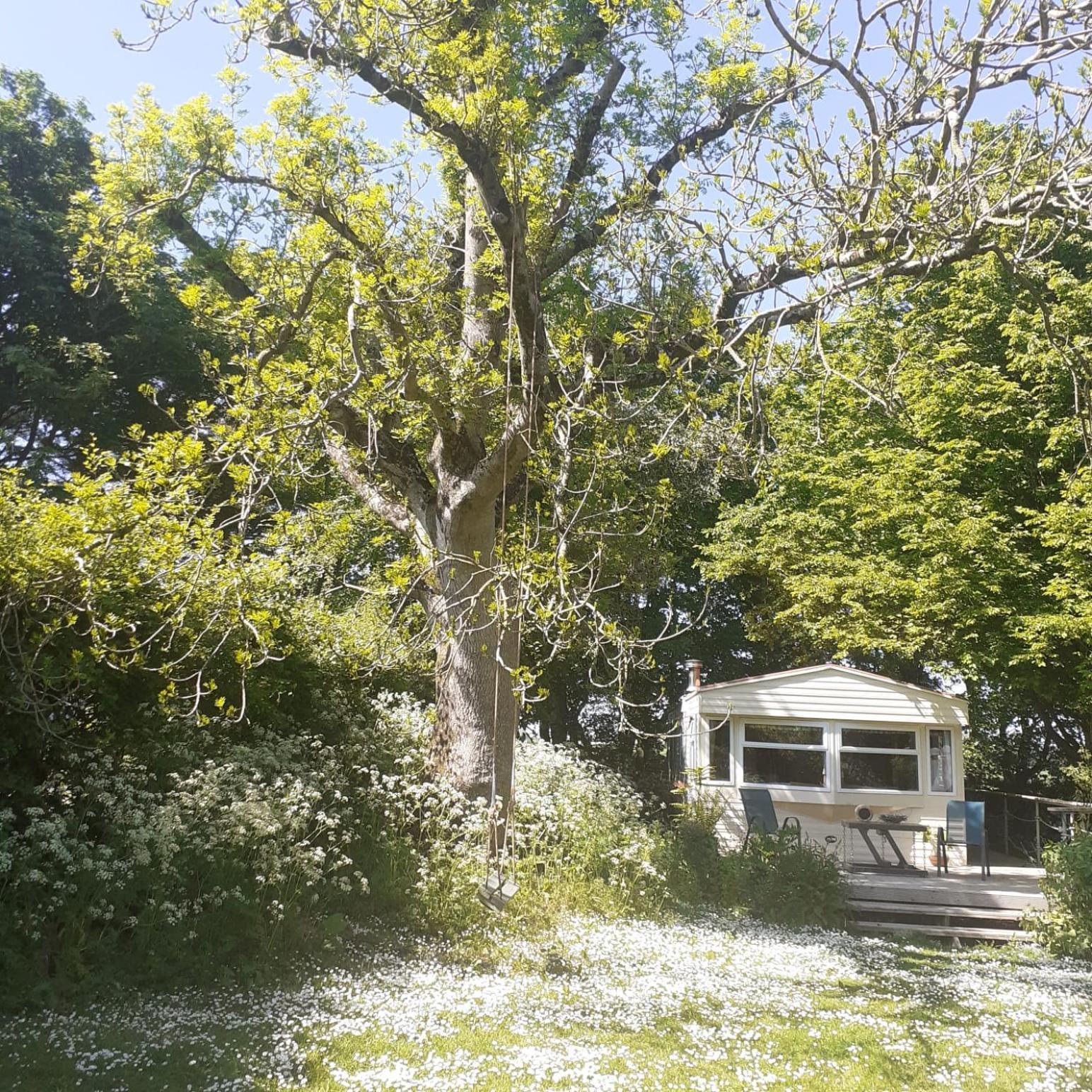 Doughery Den The Dark Hedges Hideaway Armoy Exterior photo